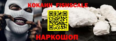 гашик Гатчина