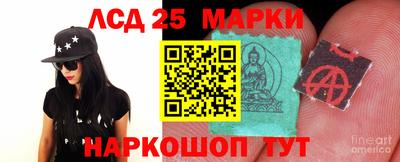 гашик Гатчина