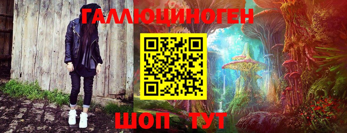 Малоярославец  Псилоцибиновые грибы Cubensis  Вход с VPN 