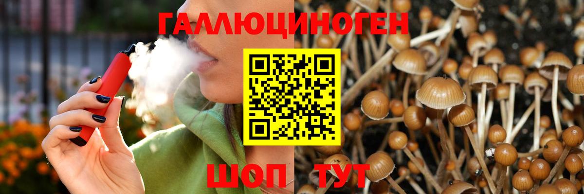 Галлюциногенные грибы GOLDEN TEACHER Малоярославец